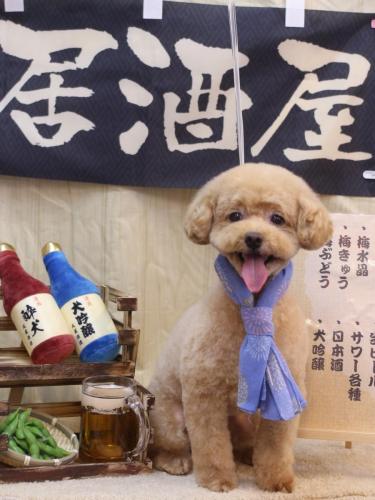 20240611ぽっきーくん